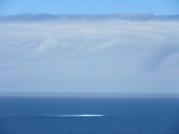 Rocks lurking off the point