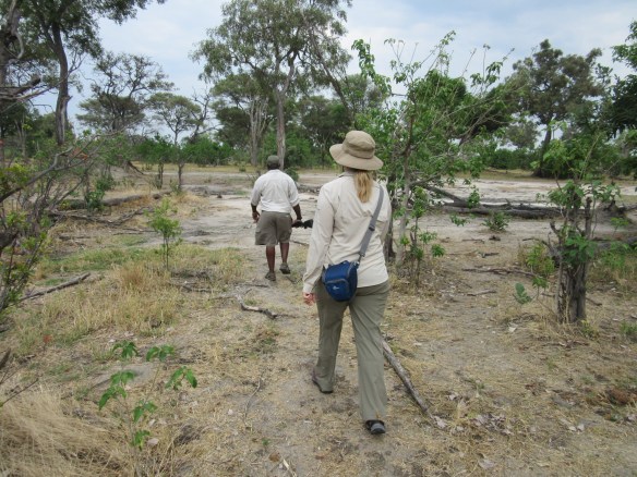 Heading out with Lazarus leading the way.