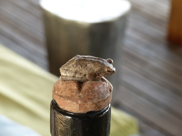 This frog is real. He was perched atop a bottle stopper and I had to look closely to see if he was breathing!