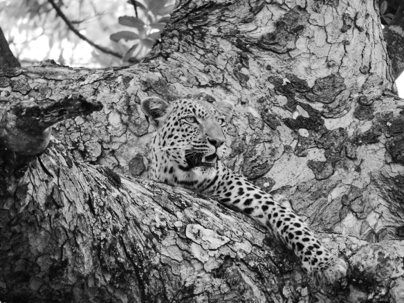 One of my favorite photos from the whole trip.