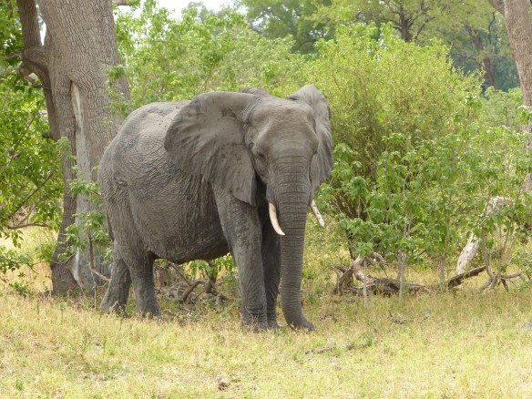 Mom, looking to see if the coast is clear.
