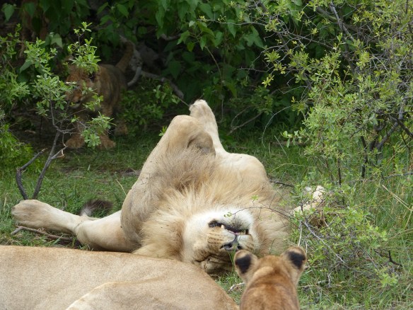 Everyone wants a good relaxing stretch