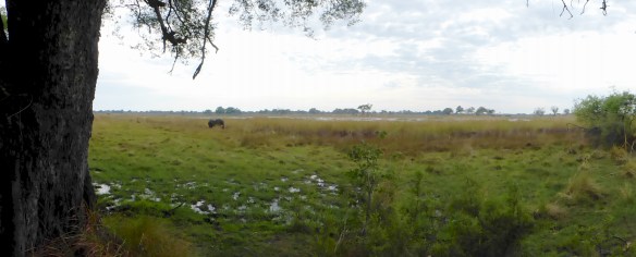 The view from our deck.