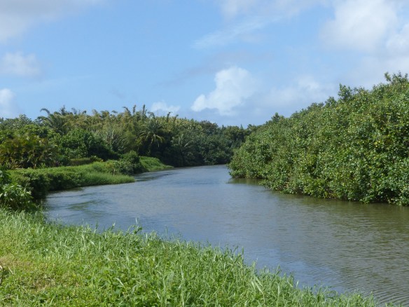The Hanalei River