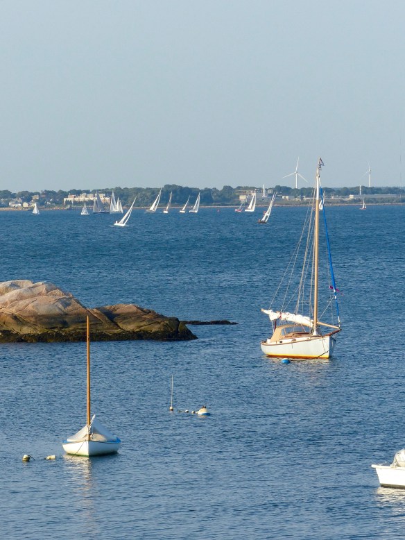 Sailboats