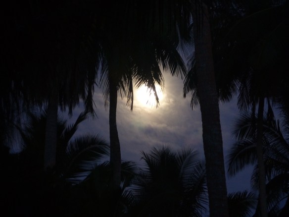 full-moon-in-the-palms