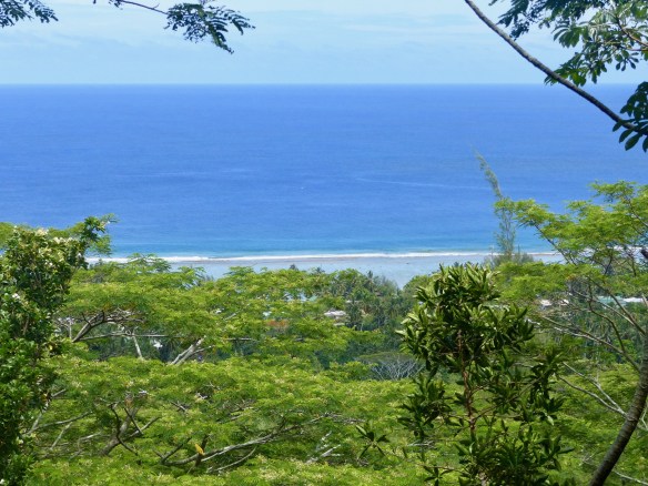 raro-hike-view-1