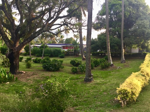 raro-roadside-scene-1