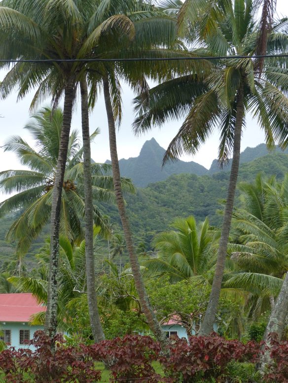 view-from-bella-beach