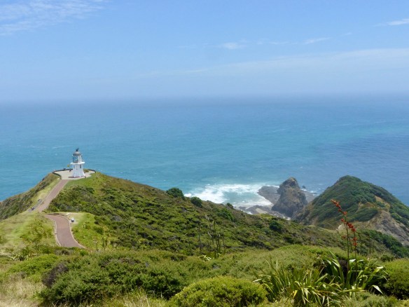 cape-reinga-5
