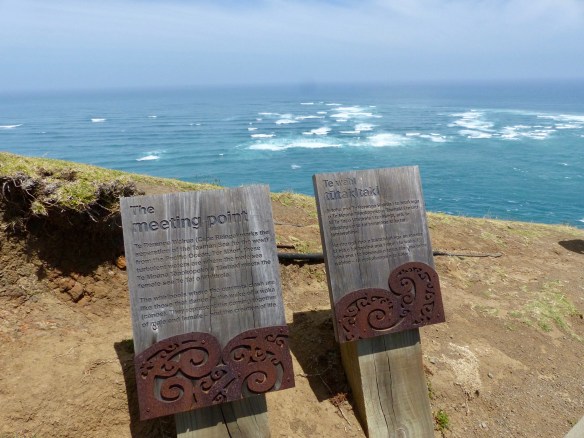 cape-reinga-6