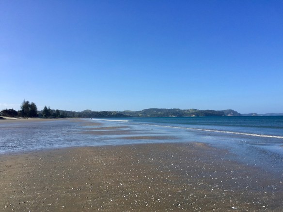 orewa-beach
