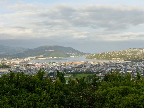 dunedin-view-1