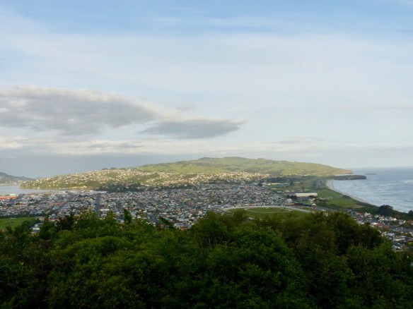 dunedin-view-2